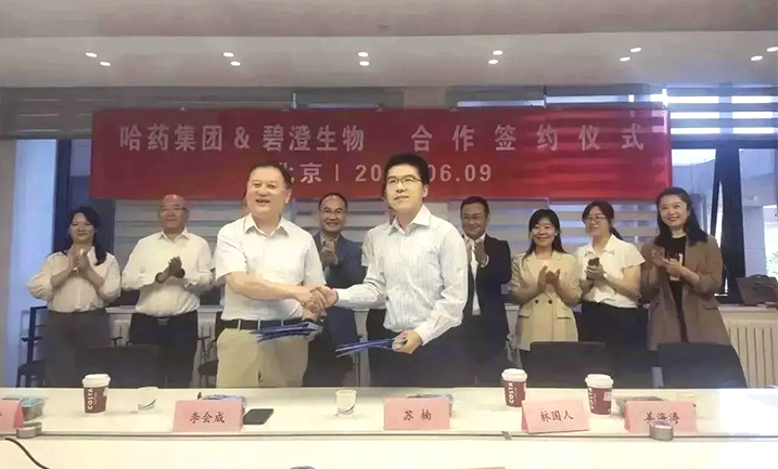 哈药携手清华大学，强强联合共创胶原蛋白行业未来